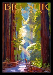 Big Sur California Coast Redwoods Magnetic Travel Poster Fridge Magnet 6×8 Large