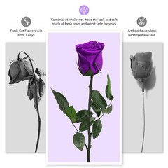 Preserved Rose Flowers Mom Birthday Gift Real Flower Grandma Wife Women