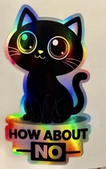Cute Holographic Cat Sticker 2.5 In X 4 In Funny “how About No”, Vinyl Decal Car