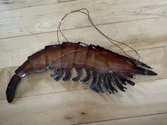 Metal shrimp wall art-OOAK Brown-copper-patina-nautical decor