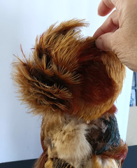 Vintage Sculpture Eric Dufour Avant Garde Feather Mannequin Bust Paris Art
