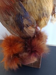 Vintage Sculpture Eric Dufour Avant Garde Feather Mannequin Bust Paris Art