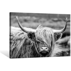 Portrait Highland Cow Canvas Wall Art Framed Farmhouse Decor