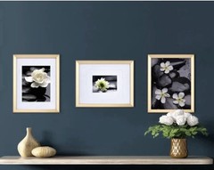 NEW Mikasa Home Accents 3-Piece Gold Wall Photo Frame set
