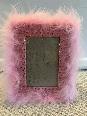 Y2K Pink Feathers Picture Frame Sequins Girly Vtg