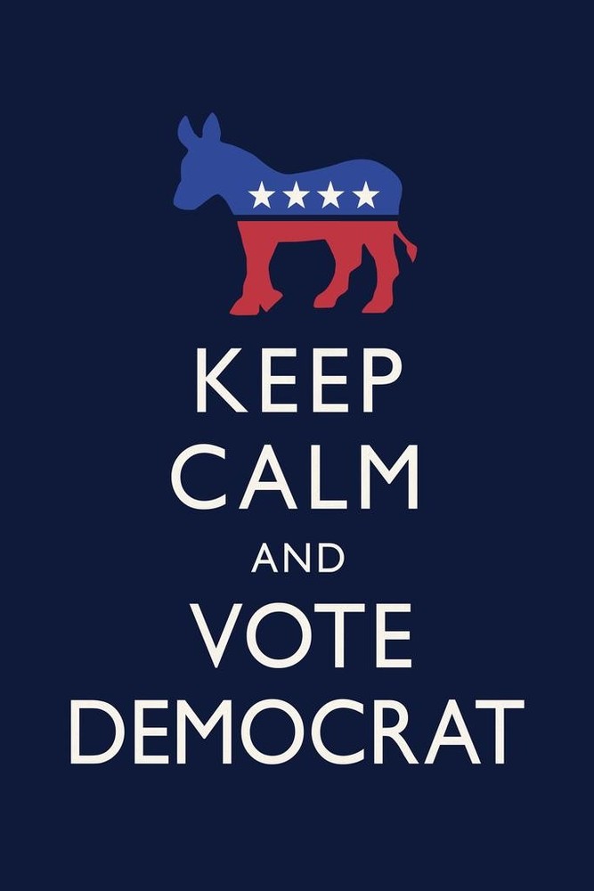 Keep Calm and Vote Democratic Blue Campaign Cool Wall Art Print Poster 16×24