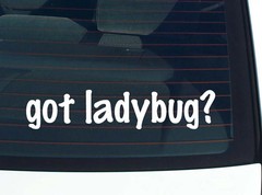 got ladybug? CAR DECAL BUMPER STICKER VINYL FUNNY JOKE WINDOW