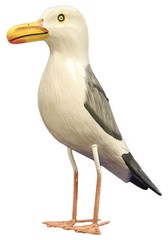 Nautical Decoration Hand Made Wooden Seagull Figurine, 10 Inches Tall